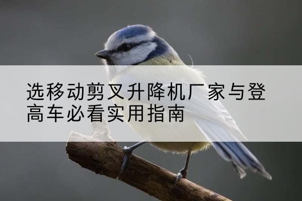 九台电动升降机厂家-选移动剪叉升降机厂家与登高车必看实用指南