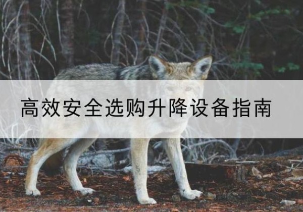 九台升降货梯厂家推荐-*安全选购升降设备指南