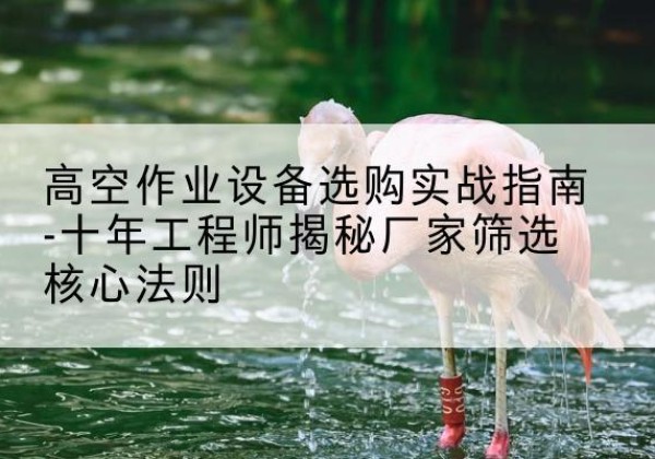 九台剪叉式升降机厂家-高空作业设备选购实战指南-十年工程师揭秘厂家筛选核心法则